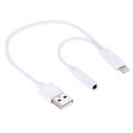 Apple iPhone Lightning USB Ses Kablosu Aux Dönüştürücü