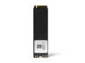 Longline 1TB NVMe M.2 Sata SSD 2500/1700MB/s LNG2500NV/1TB