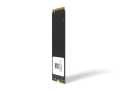 Longline 1TB NVMe M.2 Sata SSD 2500/1700MB/s LNG2500NV/1TB